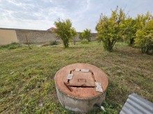 Novxanı Bağları Dəniz Kənarı heyet evi, -14