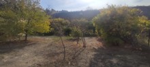 Sale Cottage, -5