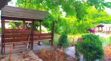 Sale Commercial Property Restaurant in Baku city, -6