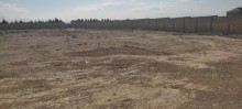 Novxanı, Torpaq, 12 sot satılır, -3