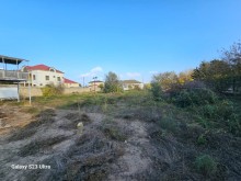 Novxanı Bağları Sarı Qayada heyet evleri, -7