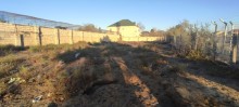 Novxanı bağları Sarı Qaya Torpaqlari, -4
