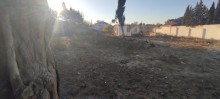 Novxanı bağları Sarı Qaya Torpaqlari, -6
