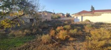 Novxanı bağları Sarı Qaya Torpaqlari, -7