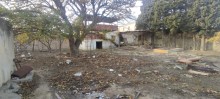 Novxanida torpaq satisi Sariqaya Baglari, -6