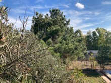 Azerbaijan Garden house for sale, -5