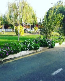 Bilgeh bag evleri heyet evleri denize yaxin, -3
