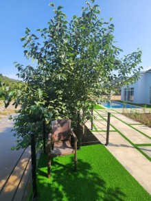 farm house for sale in Azerbaijan, -3