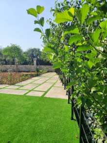 farm house for sale in Azerbaijan, -6
