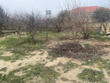 sale-land-baku-absheron-novkhani-151-1707297520-s