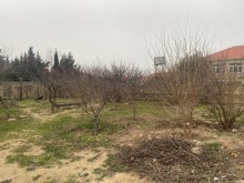 Sale Land, -3