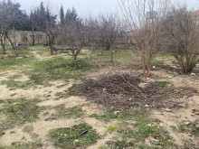 Sale Land, -5