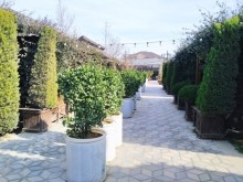 sale-commercial-property-baku-absheron-mahammadi-7-1707736055