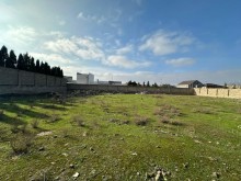 satilir-torpaq-baki-xezer-suvelan-koroglu-1713-1708072482-s