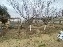 sale-land-baku-absheron-novkhani-157-1708196788-s