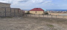 Novxani torpaq satisi, -2