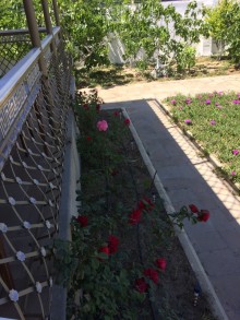 sea breeze resort baku 5 dəqiqə məsafədə olan Nardaranda bag evi satılır, -5