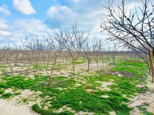 Azerbaijan, commercial real estate for sale. Property for sale, -6