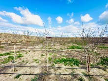 Azerbaijan, commercial real estate for sale. Property for sale, -7
