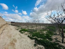Azerbaijan, commercial real estate for sale. Property for sale, -15