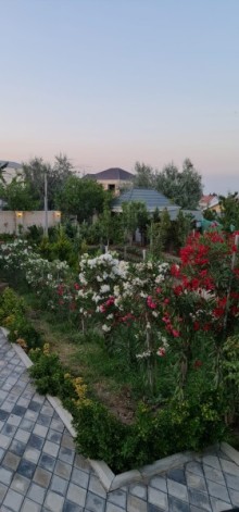 Novxanı Bağları “Sarı-qaya” bağlarının düz mərkəzində həyət evi, -8