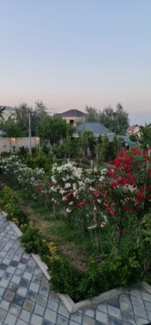 Novxanı Bağları “Sarı-qaya” bağlarının düz mərkəzində həyət evi, -9