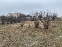 Sale Land, -4