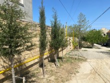 Novxanı qəsəbəsində torpaq sahəsi al, -2