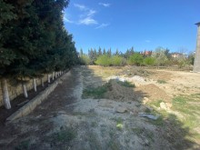 Novxanı qəsəbəsində torpaq sahəsi al, -3