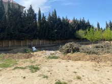 Novxanı qəsəbəsində torpaq sahəsi al, -7