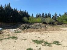 Novxanı qəsəbəsində torpaq sahəsi al, -9