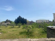 sale-land-baku-absheron-novkhani-169-1714072199-s