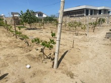 Sale Land Novxani, -3