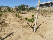 Sale Land Novxani, -6