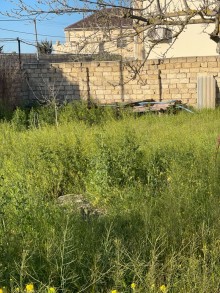 Novxani torpaq alqi satqisi ofisi, -2