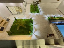 Villa houses for sale in Baku city, Mardakan settlement, -10