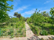 Novxanı bağlarında Spring Otelə yaxın həyət evi, -7