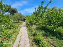 Novxanı bağlarında Spring Otelə yaxın həyət evi, -8