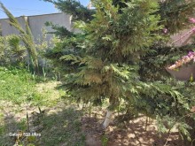 Novxanıda Marina Trench restorana yaxın 2 mərtəbəli hovuzlu villa ev satılır, -10
