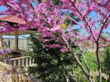 Novxanıda Marina Trench restorana yaxın 2 mərtəbəli hovuzlu villa ev satılır, -12