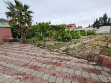 Bakı şəhəri Novxanı bağlarında ev satılır. Sarı Qaya massivi, -19