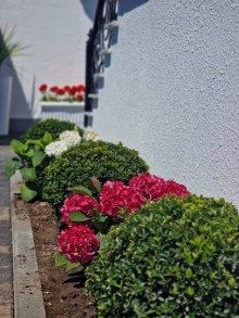 Badamdar qəsəbəsində modern villa ev satılır, -9