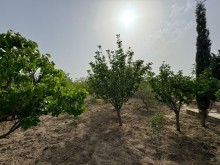 Şüvelan qesebesinde cox prestijli bir yerde Torpaq, -12