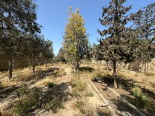 Suvelan deniz yolunda Torpaq, -3