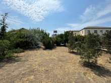 Sale Land, -2