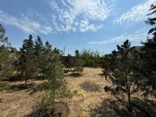 Sale Land, -3