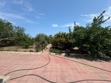 Sale Land, -8