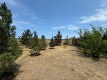 Sale Land, -9