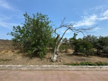 Sale Land, -11