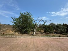 Sale Land, -12